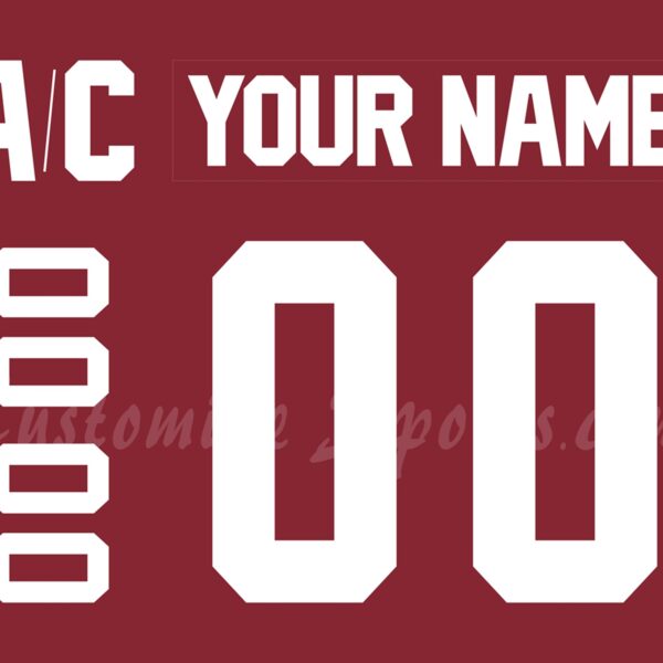 Union College Dutchmen Customized Number Kit For 1995 200th Bicentennial Jersey