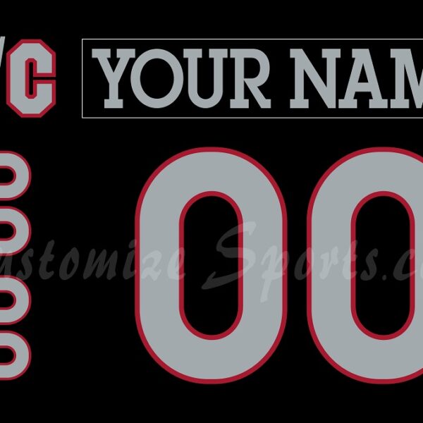 Cincinnati Cyclones Customized Number Kit for 2025 Throwback Jersey