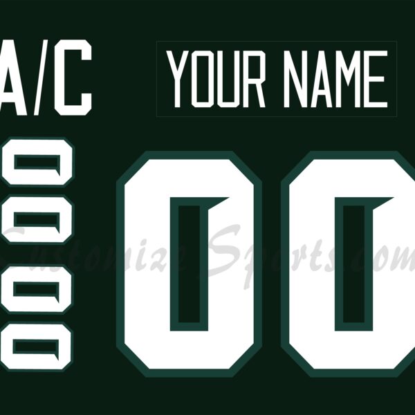 NCAA Michigan State Spartans Customized Number Kit for 2023-Present Away Hockey Jersey