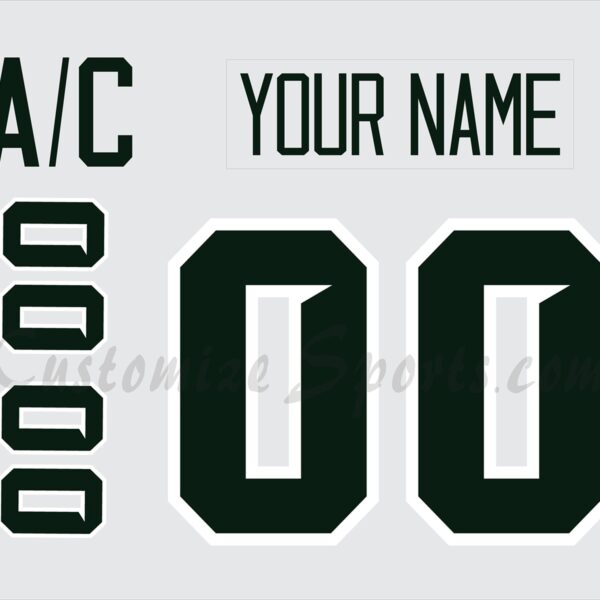 NCAA Michigan State Spartans Customized Number Kit for 2023-Present Home Hockey Jersey