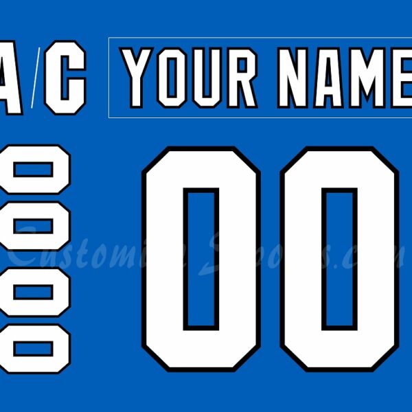 Springfield Falcons Customized Number Kit For 1994-2002 Blue Jersey