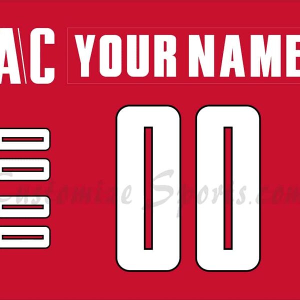 IIHF Team Canada Customized Number Kit for 2004 World Cup Red Hockey Jersey