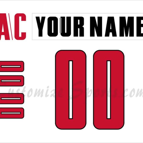 IIHF Team Canada Customized Number Kit for 2004 World Cup White Hockey Jersey