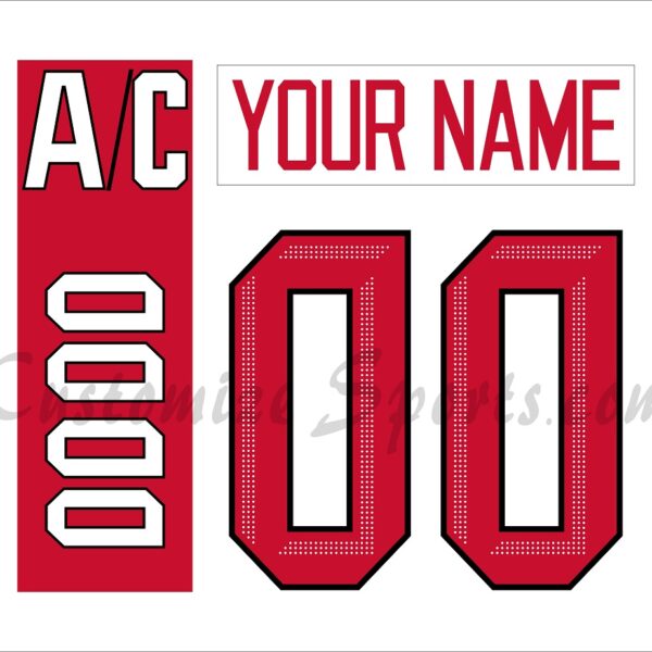 NCAA Ohio State Buckeyes Customized Number Kit For 2019-2020 Home Hockey Jersey
