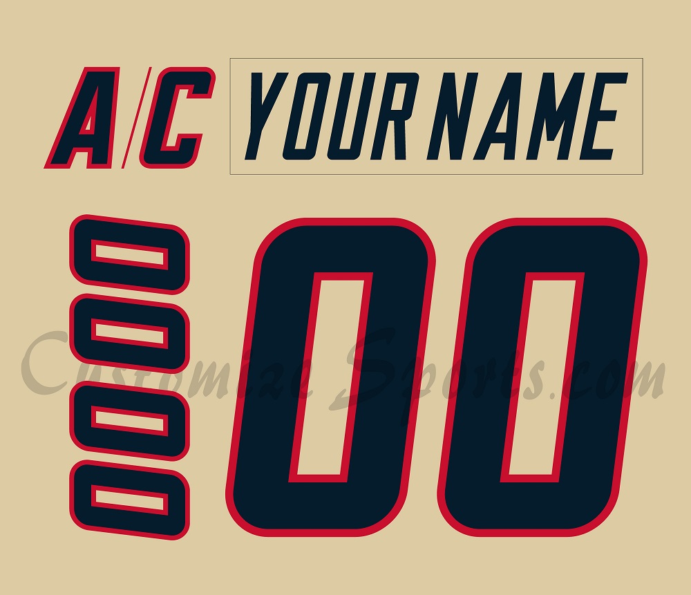 AHL All Star Customized Number Kit For 2025 Central Division Jersey