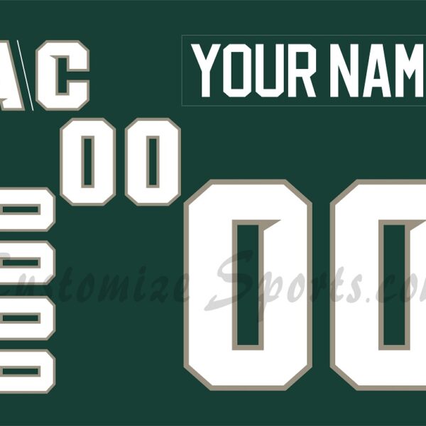 NCAA Michigan State Spartans Customized Number Kit for 2010-2012 Green Hockey Jersey