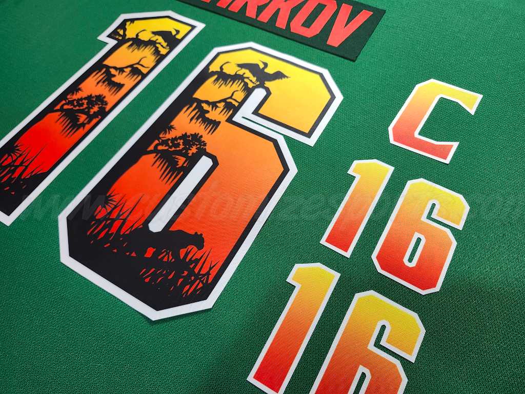 Florida Panthers Customized Number Kit For 2024-2025 Conservation Jersey - Image 4