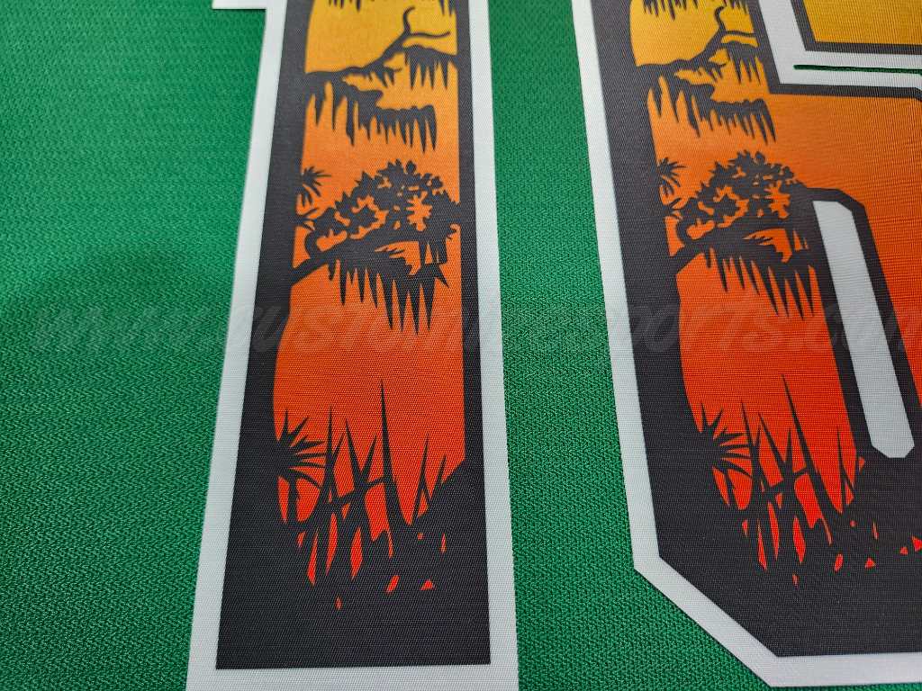 Florida Panthers Customized Number Kit For 2024-2025 Conservation Jersey - Image 6