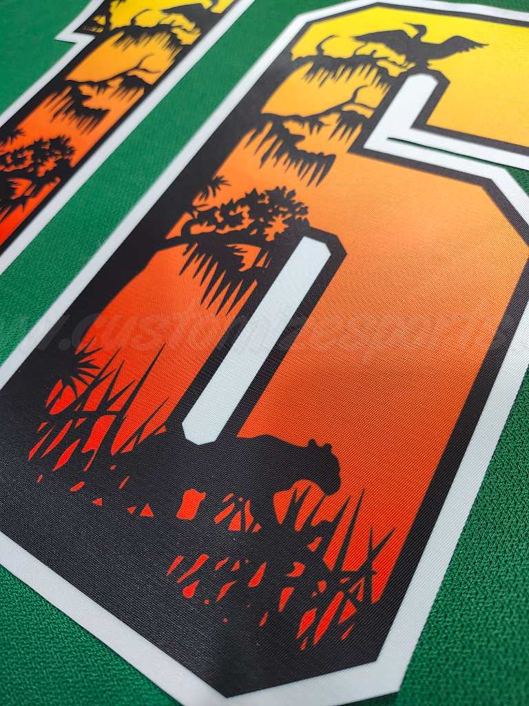 Florida Panthers Customized Number Kit For 2024-2025 Conservation Jersey - Image 7