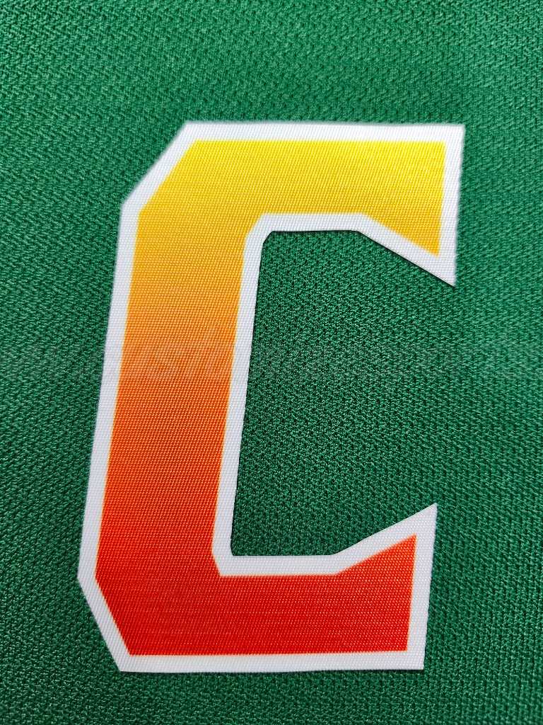 Florida Panthers Customized Number Kit For 2024-2025 Conservation Jersey - Image 11