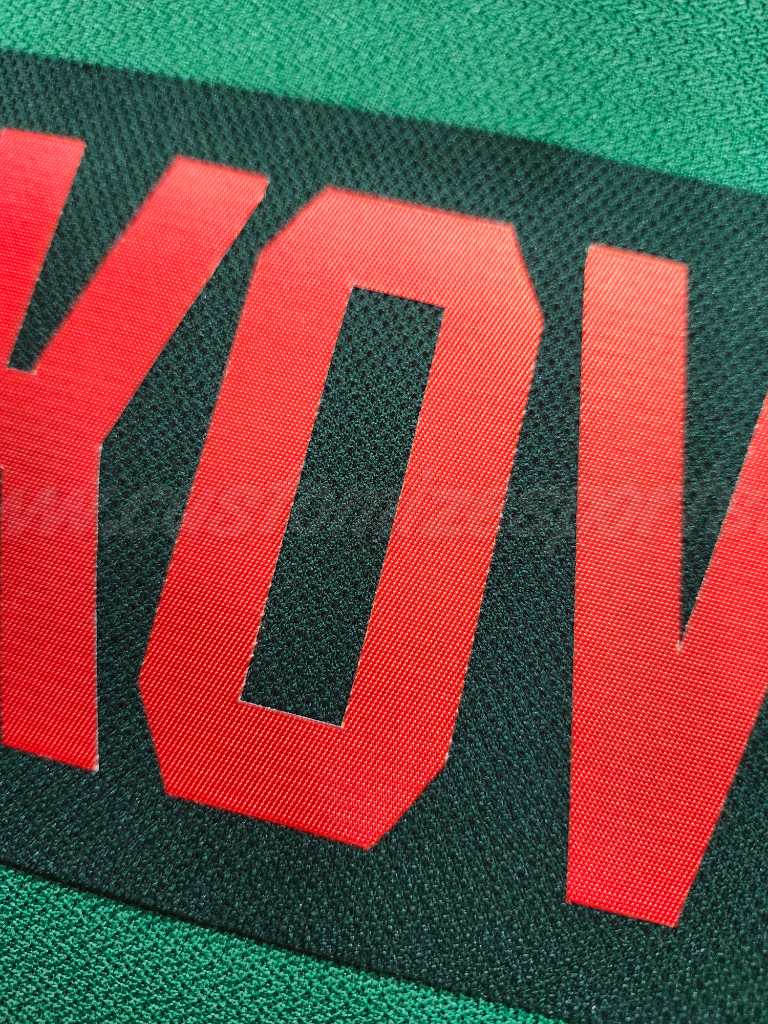 Florida Panthers Customized Number Kit For 2024-2025 Conservation Jersey - Image 12