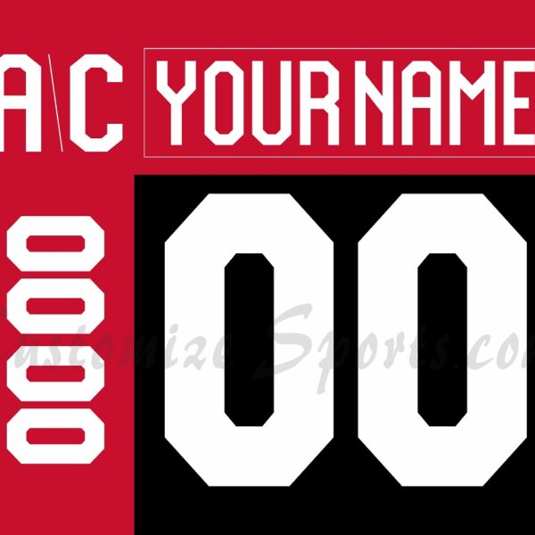 IIHF Team Japan Customized Number Kit for 2024-Present Black Hockey Jersey