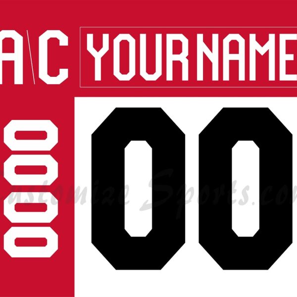 IIHF Team Japan Customized Number Kit for 2024-Present White Hockey Jersey