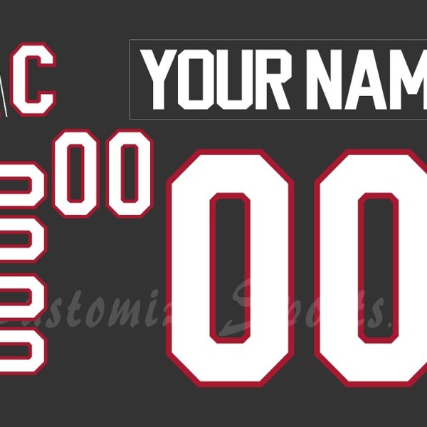 NCAA Ohio State Buckeyes Customized Number Kit For 2025 Frozen Confines Hockey Jersey