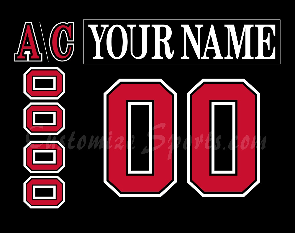 Portland Pirates Customized Number Kit For 1994-1996 Black Jersey